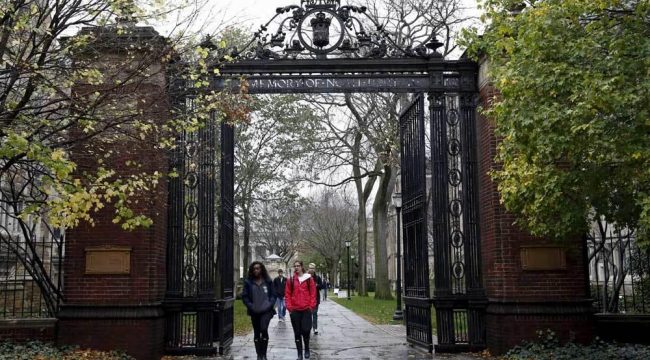 Наблюдатели предупреждают: политика DEI стала главным инструментом антисемитизма в американских вузах