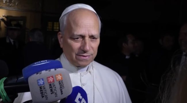 Трамп готов встретиться с папой Львом XIV и отвечает на критику иммиграционной политики