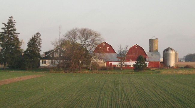 Новый ресурс помогает церквям в сельской местности справляться с кризисом психического здоровья