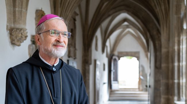 Епископ Ханке поддержал критику документа Немецкой епископской конференции о сексуальном разнообразии