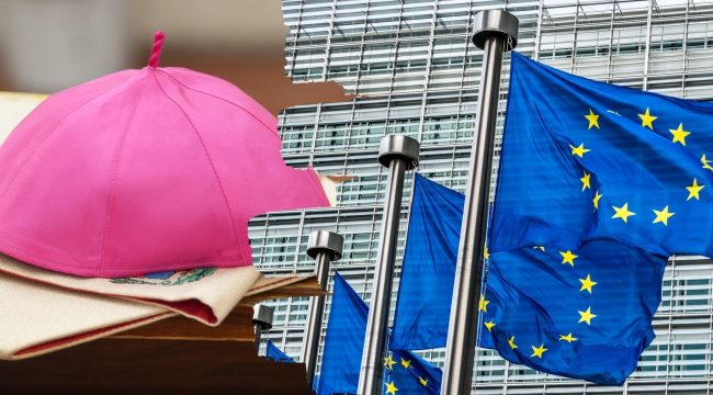 Евробиосы критикуют решение ЕС о признании однополых браков