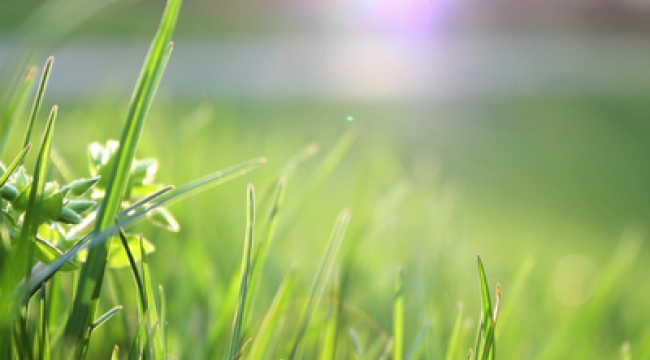 «То, что Я вложил в тебя, стремится родиться» — размышление в рубрике «Присутствие: Момент с Иисусом»