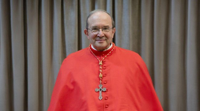 Ватиканский спор о женском диаконате: исторические факты против доктринальных преград