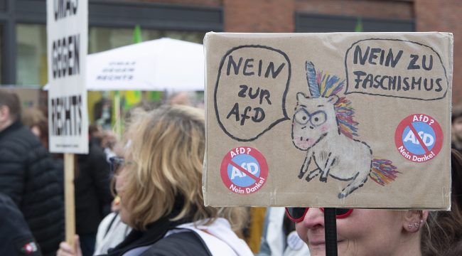 Союз католических предпринимателей не способен «поставить на место» «Альтернативу для Германии» доводами