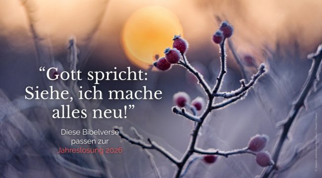 Библейские стихи к девизу 2026 года: «Се, творю всё новое»