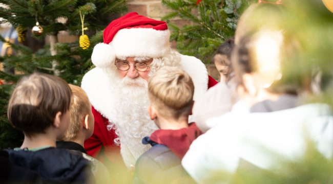 Красивые книжки-картинки к Рождеству: обзор новинок для детей