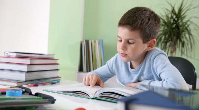 Как детские сады делают чтение увлекательным для малышей — опыт Киты "Солнечный цветок"