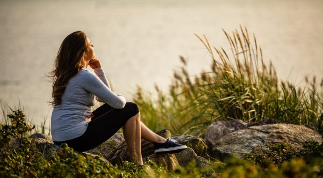 Тихий Новый год: где в Германии можно укрыться от фейерверков и петард