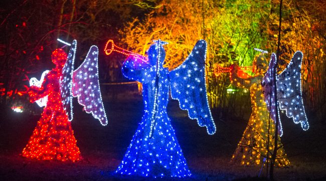 «Last Christmas» или «О, пресветлый вечер»? Почему на Рождество мы поём одни и те же песни