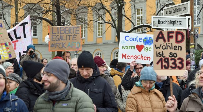 Честный диалог с функционерами «Альтернативы для Германии» бесперспективен