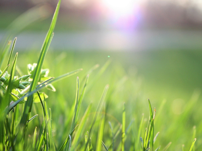 «То, что Я вложил в тебя, стремится родиться» — размышление в рубрике «Присутствие: Момент с Иисусом»