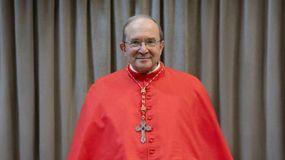 Ватиканский спор о женском диаконате: исторические факты против доктринальных преград