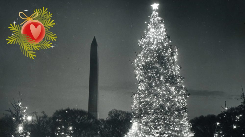 Немецкая традиция, покорившая мир: история рождественской ёлки