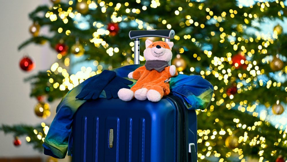 Двойное Рождество: как дети из разведённых семей переживают праздники