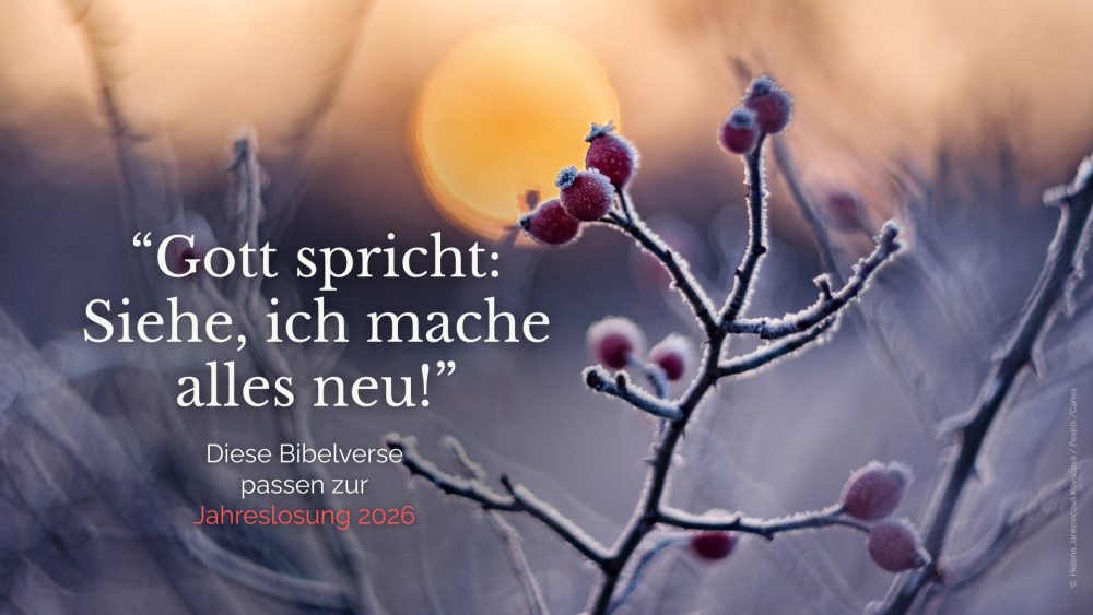 Библейские стихи к девизу 2026 года: «Се, творю всё новое»