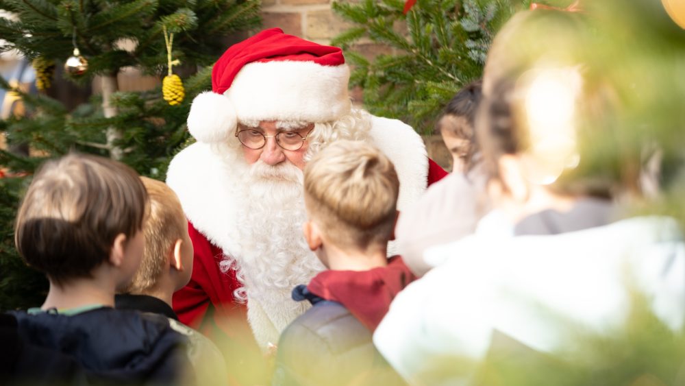 Красивые книжки-картинки к Рождеству: обзор новинок для детей