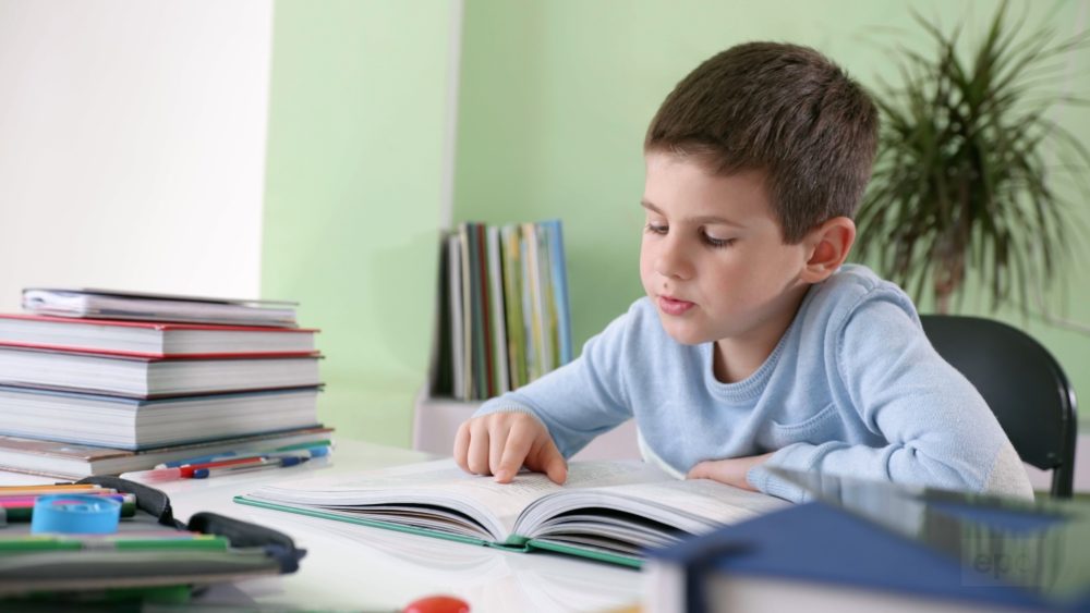 Как детские сады делают чтение увлекательным для малышей — опыт Киты "Солнечный цветок"