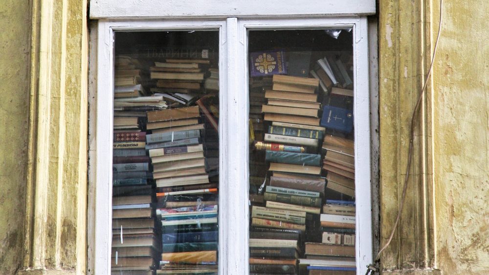 Идеи для последних подарков: обзор новинок литературы 2025 года