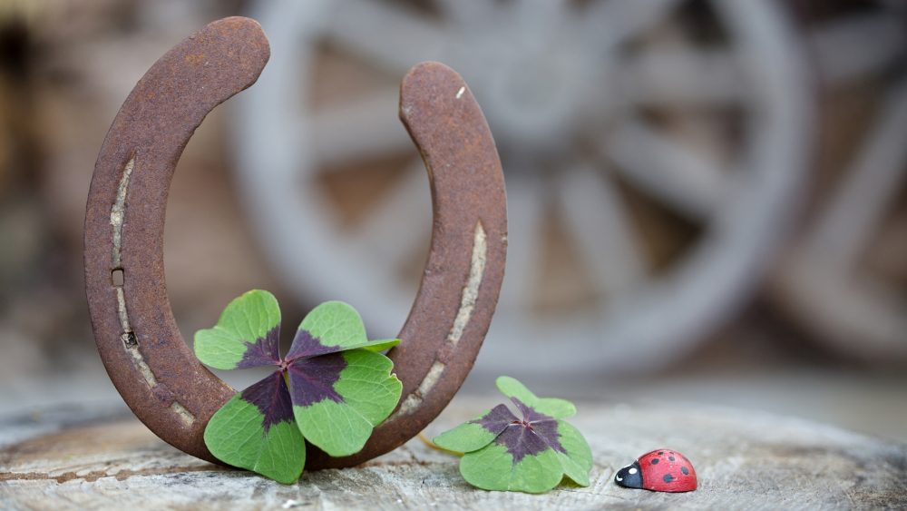 Трубочисты как символ удачи: от средневековых суеверий до современного ремесла