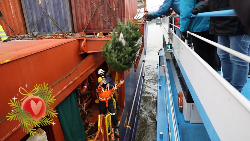 Рождественская меткость: как в Гамбурге ёлки доставляют на корабли метанием