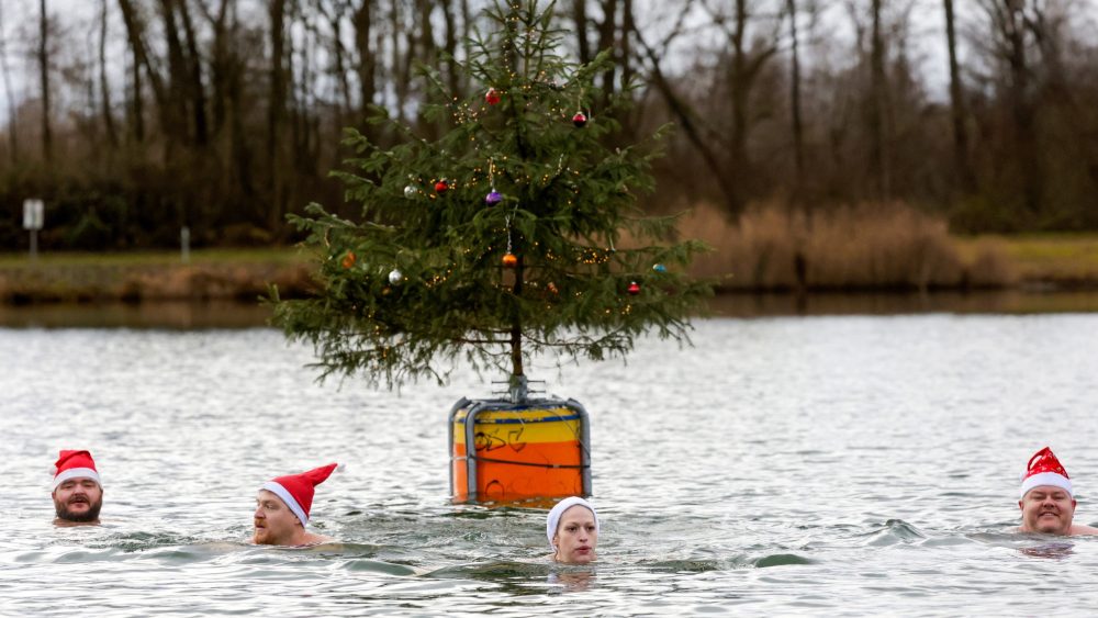 Белая или теплая Рождественская погода — выбор климата становится очевиднее