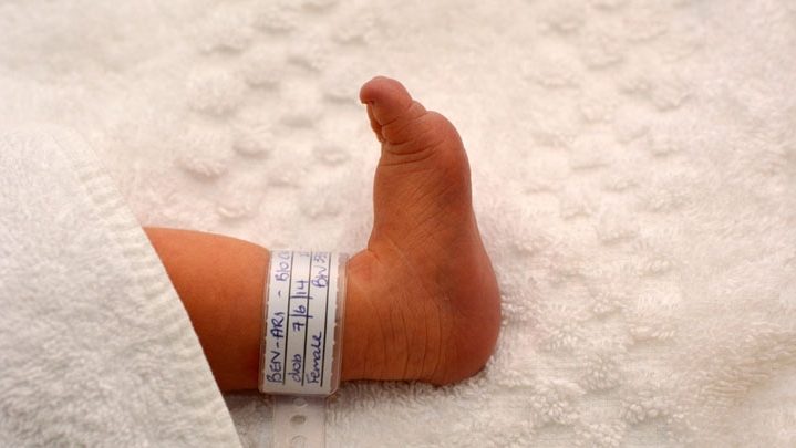 София и Ной: самые популярные имена для новорожденных в Германии в 2025 году