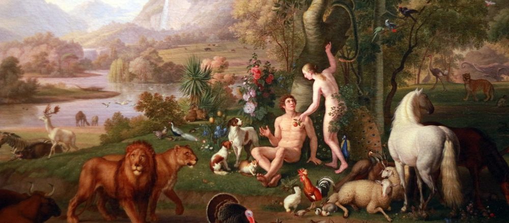 Католическое библейское общество представляет Книгу Бытия на простом языке