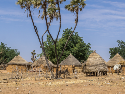 Нигерия: освобождения по каплям на фоне новой волны массовых похищений