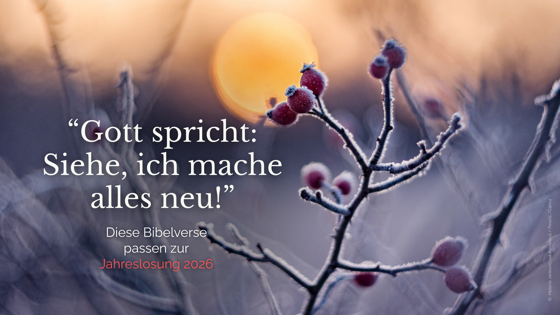 Библейские стихи к девизу 2026 года: «Се, творю всё новое»