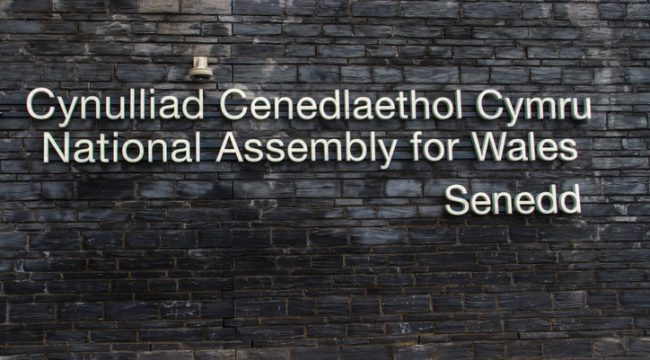 250 врачей и медсестёр Уэльса призывают парламент проголосовать против эвтаназии