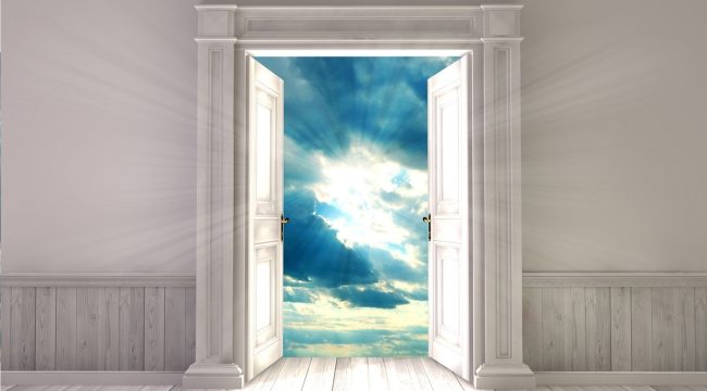 Плоды веры или сила Евангелия: что на самом деле дарует спасение?