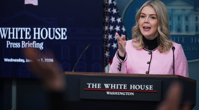 Каролин Ливитт объявляет о тотальной борьбе с мошенничеством в штатах