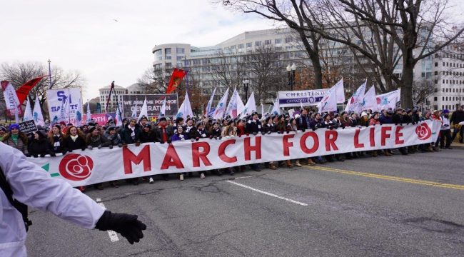 День Мартина Лютера Кинга и Марш за жизнь: одна борьба, одно достоинство