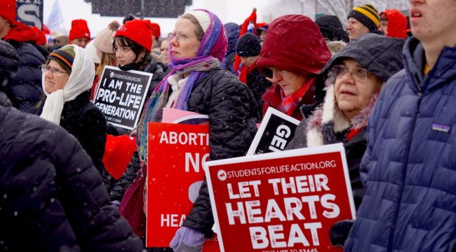 Марш за жизнь продолжается: обе политические партии выступают против про-жизненных инициатив