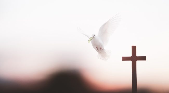 Харизматическому движению требуется кардинальная реформа