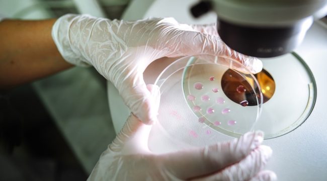 Что делать, если в Библии нет ответов про скрининг эмбрионов? Вызовы новых технологий для церкви