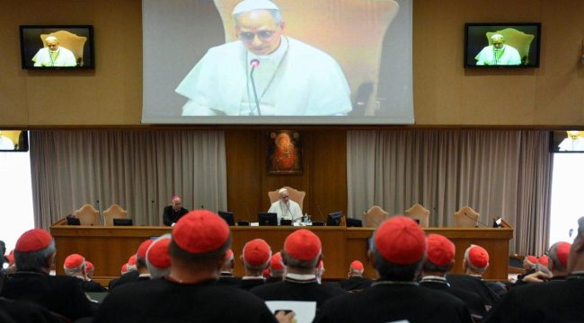 Папа Лим XIV созывает чрезвычайную консисторию кардиналов для обсуждения будущего Церкви