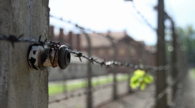 Папа Лев XIV призывает к миру и уважению между народами в день памяти жертв Холокоста