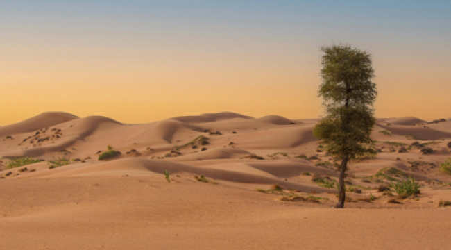 В твоей пустыне Моё присутствие — твой оазис | Присутствие — Момент с Иисусом