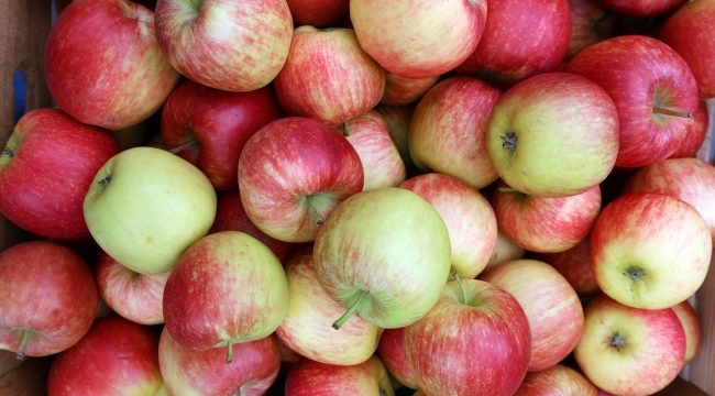 Всё, что нужно знать о яблоках: от суперфуда до лекарства с дерева