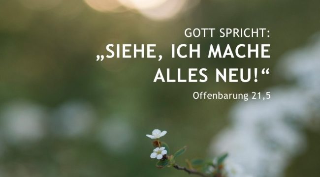 Там, где Бог раскидывает шатер: как стих из Откровения стал девизом 2026 года
