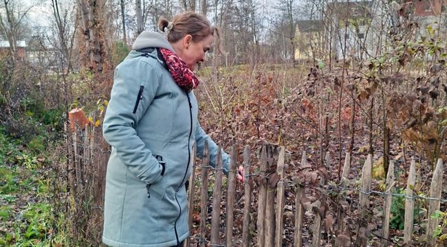 Карманные леса для спасения климата: как мини-джунгли в городе меняют экологию