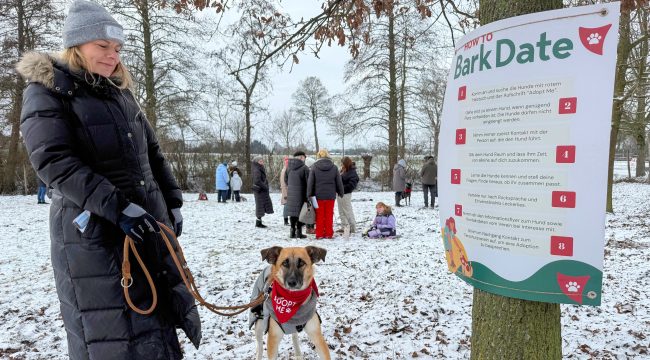 Свидание с хвостатыми: в Германии набирает популярность «собачий спид-дейтинг» для поиска хозяев