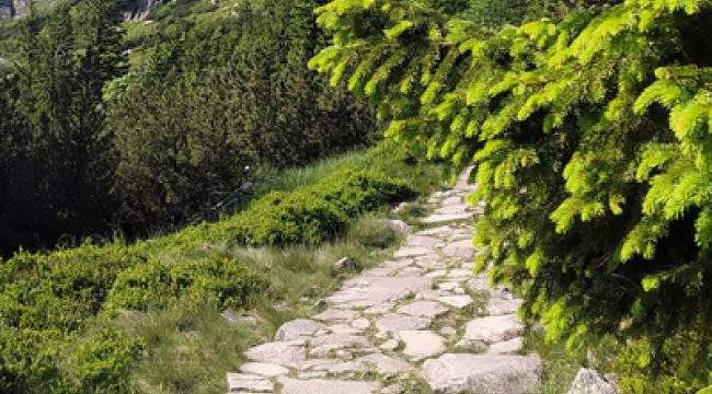 Слово Мое проложит твой путь | Присутствие - Момент с Иисусом