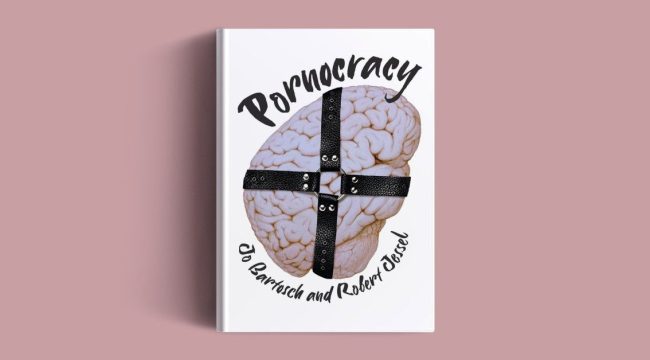 Светский аргумент против порнографии: почему его недостаточно?