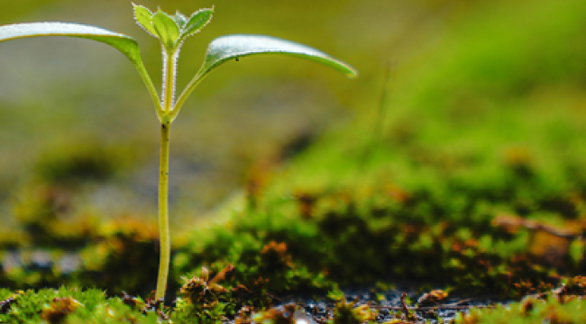 Падение как возможность для нового начала | Присутствие - Момент с Иисусом