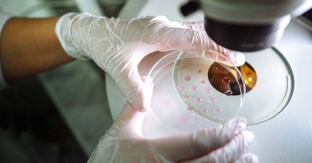 Что делать, если в Библии нет ответов про скрининг эмбрионов? Вызовы новых технологий для церкви