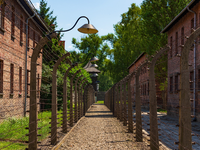 Умерла Ева Шлосс: сводная сестра Анны Франк и выжившая узница Освенцима