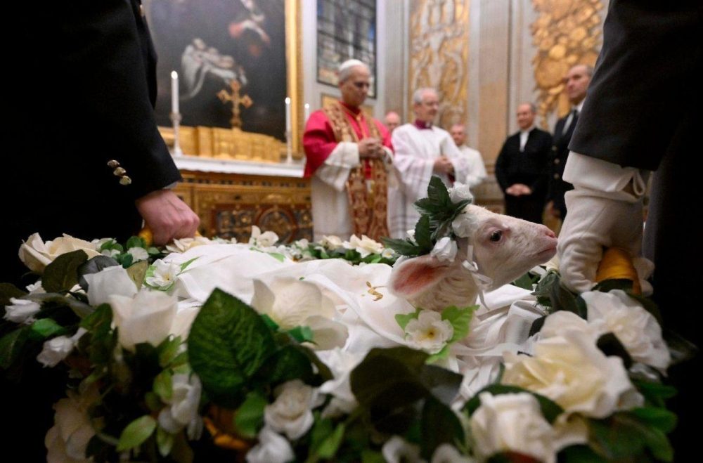 Папе Франциску представили ягнят для паллиев в преддверии праздника святой Агнессы