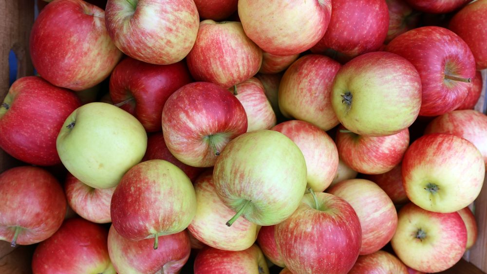 Всё, что нужно знать о яблоках: от суперфуда до лекарства с дерева